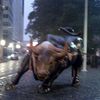 Charging Bull Features Victim Of Wall Street